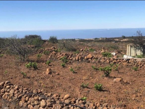 Terreno rustico Vilaflor, Tenerife