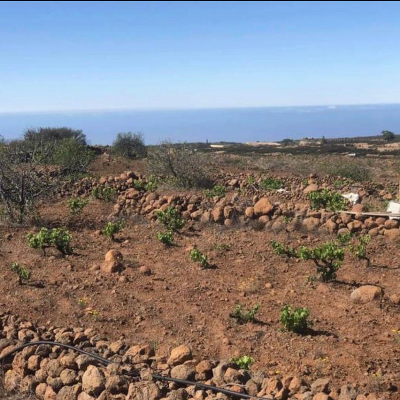Terreno rustico Vilaflor, Tenerife