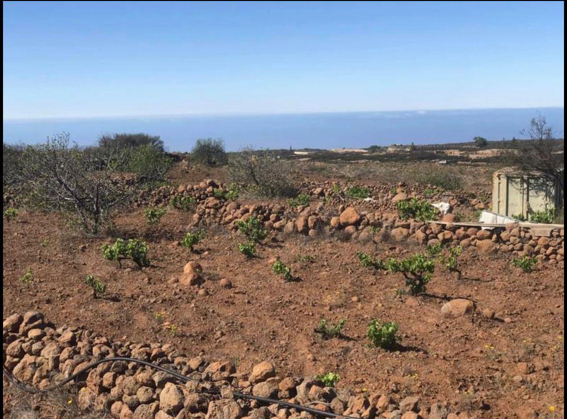 Terreno rustico Vilaflor, Tenerife