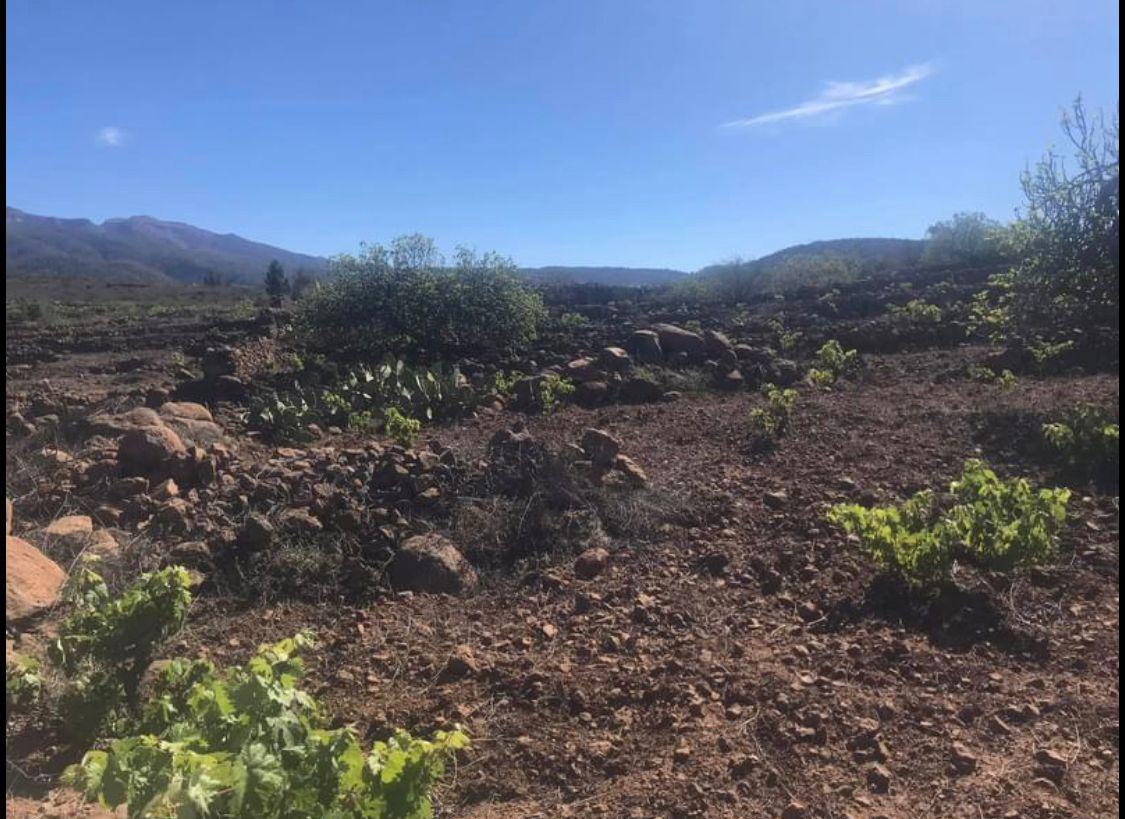 Parcela rustica en Vilaflor