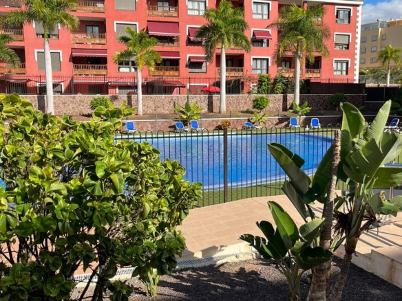estudio Palmar