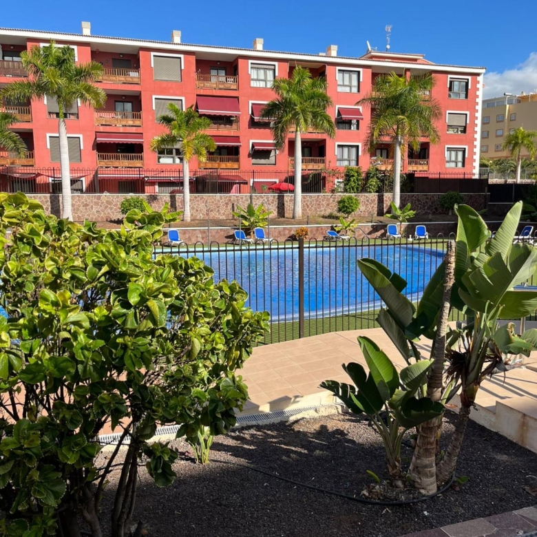 estudio Palmar