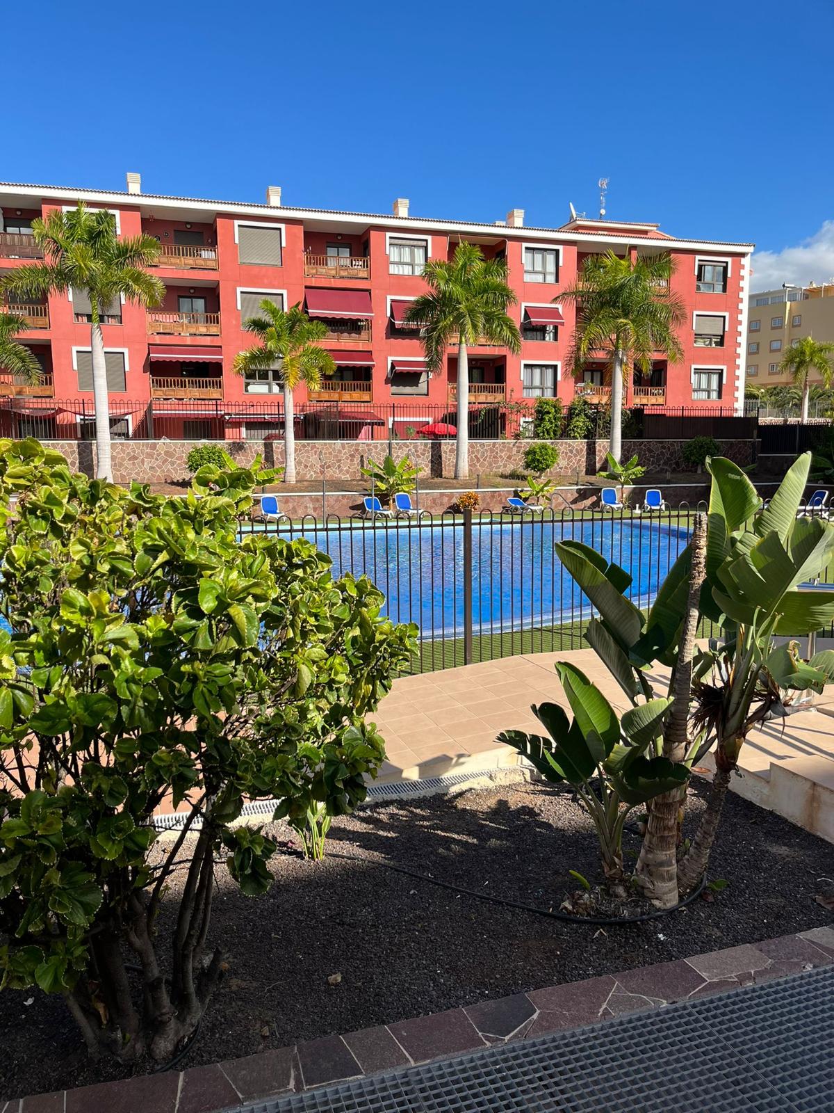 estudio Palmar